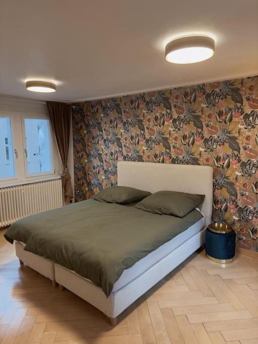 Suesse Wohnung In Zuercher Altstadt 3 Zúrich Exterior foto